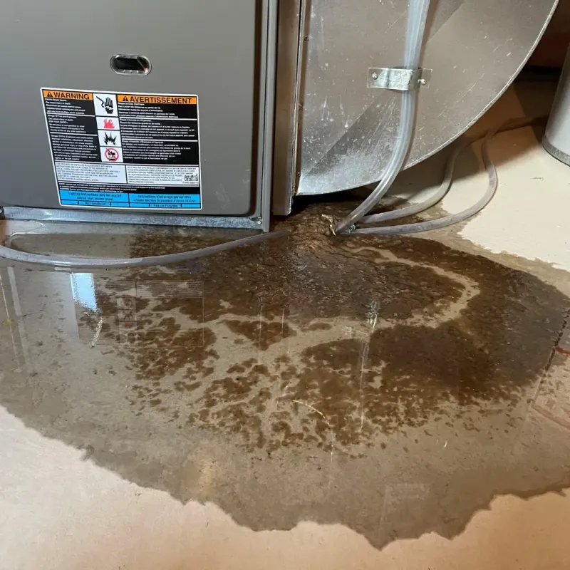 Appliance Leak Cleanup in Platte County, MO
