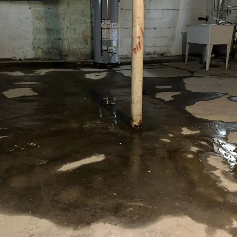 Emergency Water Extraction And Removal in Platte County, MO